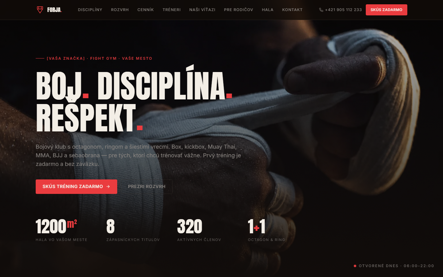 Fight gym — šablóna